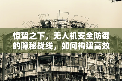 惊蛰之下，无人机安全防御的隐秘战线，如何构建高效防御机制以抵御潜在攻击？