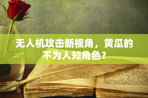 无人机攻击新视角，黄瓜的不为人知角色？