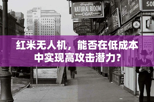 红米无人机，能否在低成本中实现高攻击潜力？