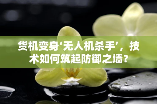 货机变身‘无人机杀手’，技术如何筑起防御之墙？