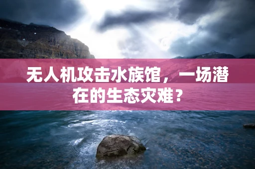 无人机攻击水族馆，一场潜在的生态灾难？