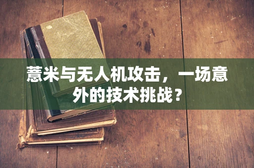 薏米与无人机攻击，一场意外的技术挑战？