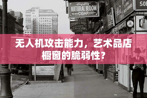 无人机攻击能力，艺术品店橱窗的脆弱性？