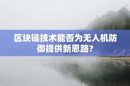 区块链技术能否为无人机防御提供新思路？