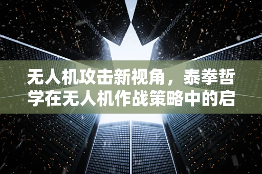 无人机攻击新视角，泰拳哲学在无人机作战策略中的启示