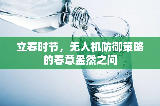 立春时节，无人机防御策略的春意盎然之问