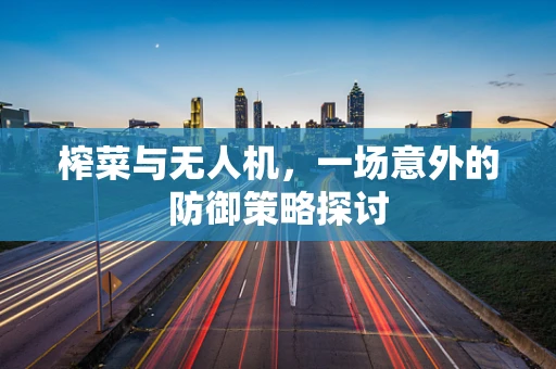 榨菜与无人机，一场意外的防御策略探讨