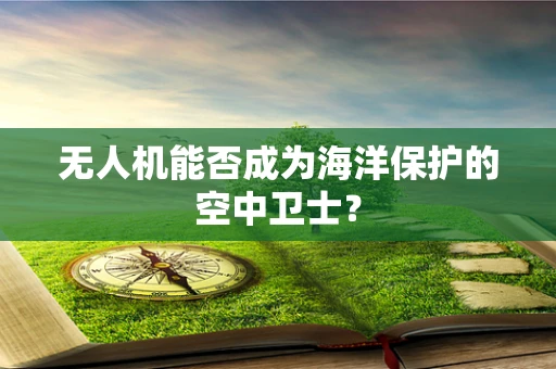 无人机能否成为海洋保护的空中卫士？