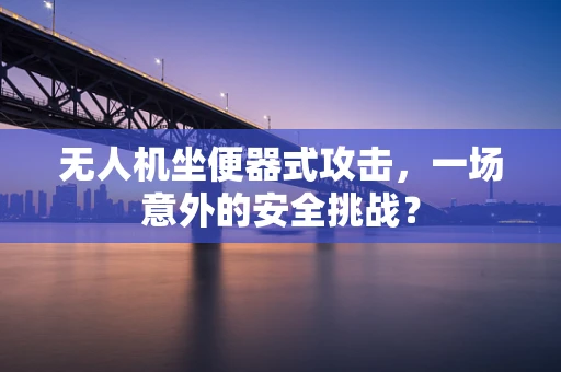 无人机坐便器式攻击，一场意外的安全挑战？