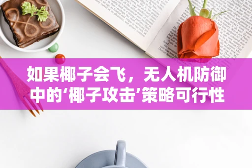 如果椰子会飞，无人机防御中的‘椰子攻击’策略可行性探讨