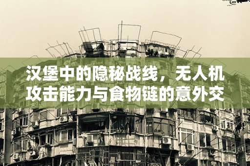 汉堡中的隐秘战线，无人机攻击能力与食物链的意外交集
