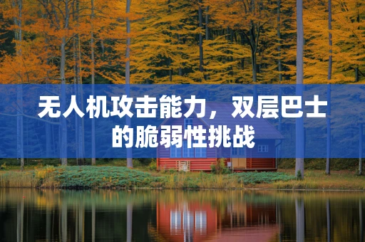 无人机攻击能力，双层巴士的脆弱性挑战