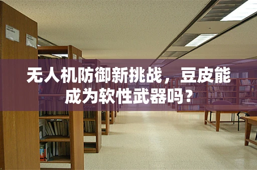 无人机防御新挑战，豆皮能成为软性武器吗？
