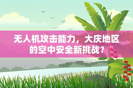 无人机攻击能力，大庆地区的空中安全新挑战？