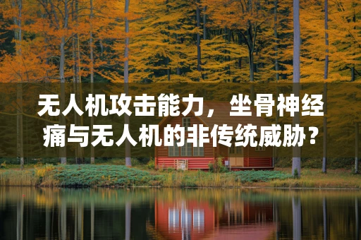 无人机攻击能力，坐骨神经痛与无人机的非传统威胁？