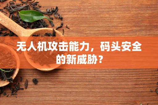 无人机攻击能力，码头安全的新威胁？
