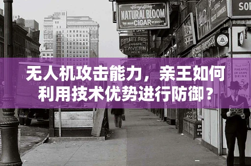 无人机攻击能力，亲王如何利用技术优势进行防御？
