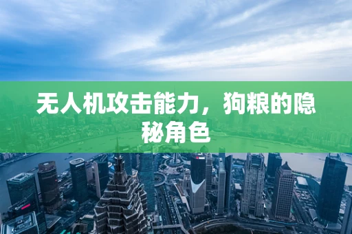 无人机攻击能力，狗粮的隐秘角色