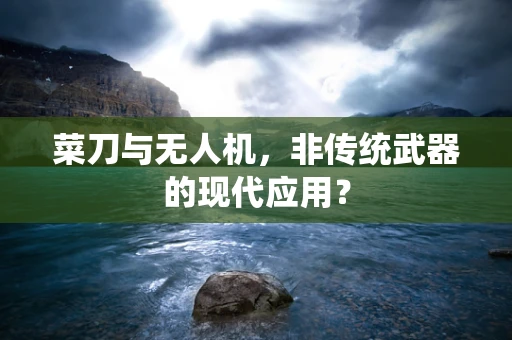 菜刀与无人机，非传统武器的现代应用？