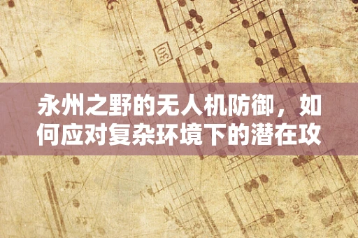 永州之野的无人机防御，如何应对复杂环境下的潜在攻击？