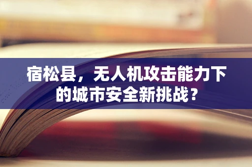 宿松县，无人机攻击能力下的城市安全新挑战？