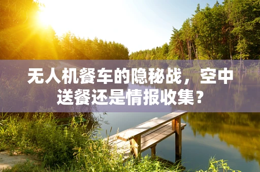 无人机餐车的隐秘战，空中送餐还是情报收集？