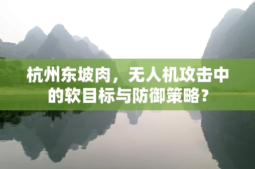 杭州东坡肉，无人机攻击中的软目标与防御策略？