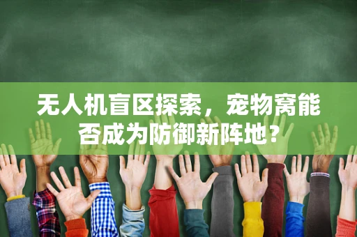 无人机盲区探索，宠物窝能否成为防御新阵地？
