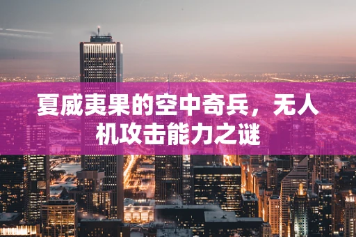 夏威夷果的空中奇兵，无人机攻击能力之谜