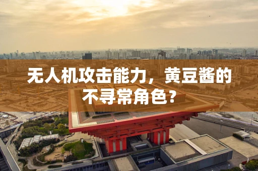 无人机攻击能力，黄豆酱的不寻常角色？
