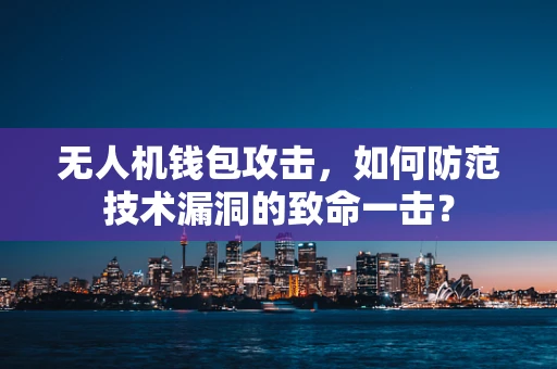 无人机钱包攻击，如何防范技术漏洞的致命一击？