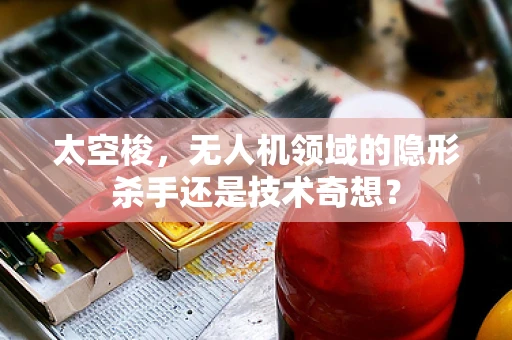 太空梭，无人机领域的隐形杀手还是技术奇想？