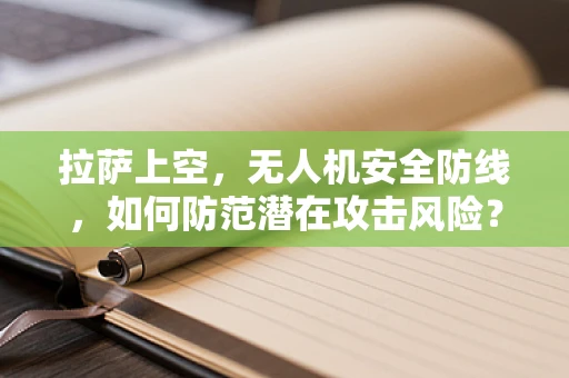 拉萨上空，无人机安全防线，如何防范潜在攻击风险？