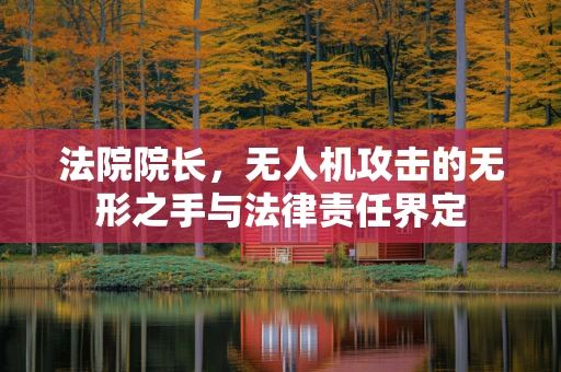 法院院长，无人机攻击的无形之手与法律责任界定