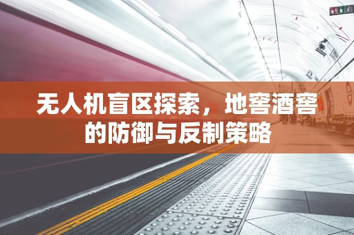 无人机盲区探索，地窖酒窖的防御与反制策略
