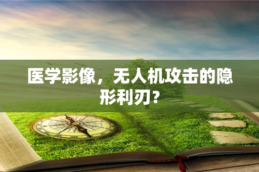医学影像，无人机攻击的隐形利刃？