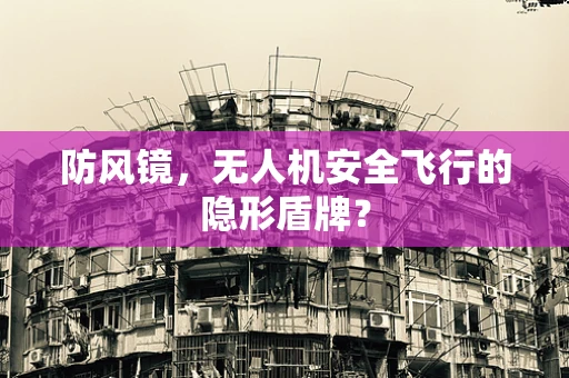 防风镜，无人机安全飞行的隐形盾牌？