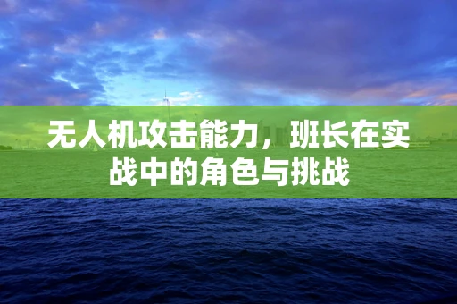 无人机攻击能力，班长在实战中的角色与挑战