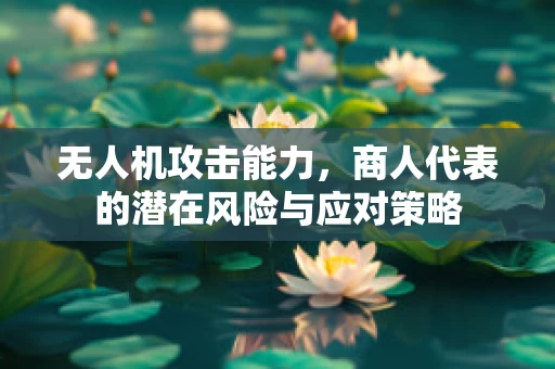 无人机攻击能力，商人代表的潜在风险与应对策略