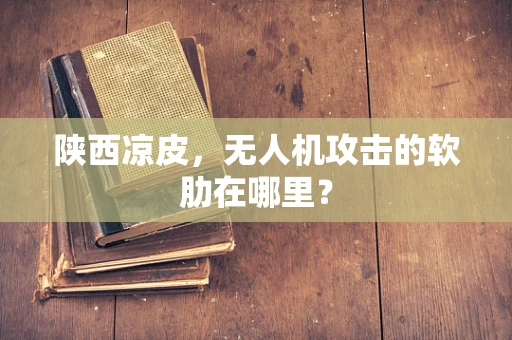 陕西凉皮，无人机攻击的软肋在哪里？