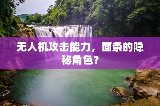 无人机攻击能力，面条的隐秘角色？