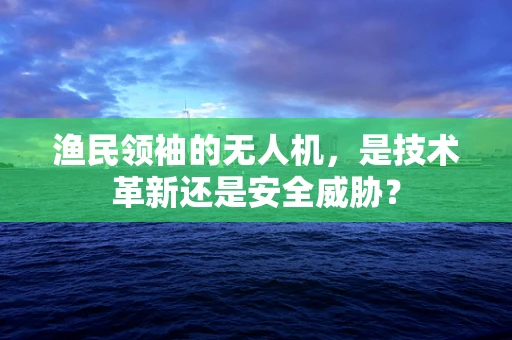 渔民领袖的无人机，是技术革新还是安全威胁？
