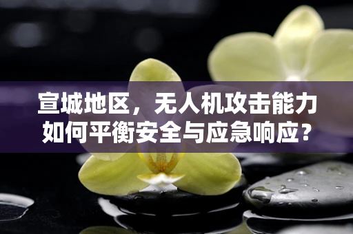 宣城地区，无人机攻击能力如何平衡安全与应急响应？