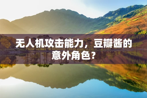 无人机攻击能力，豆瓣酱的意外角色？