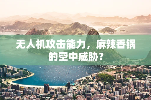 无人机攻击能力，麻辣香锅的空中威胁？