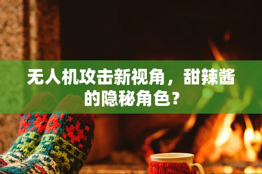 无人机攻击新视角，甜辣酱的隐秘角色？