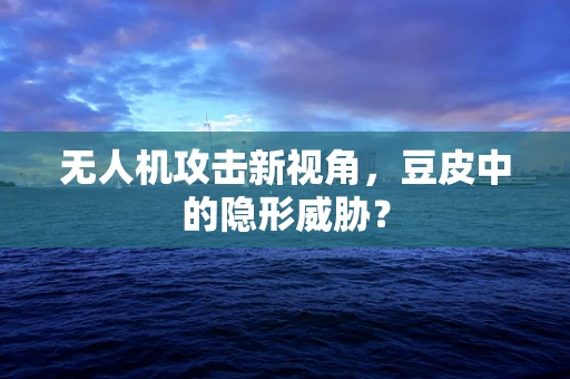 无人机攻击新视角，豆皮中的隐形威胁？