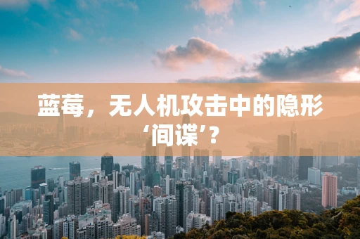 蓝莓，无人机攻击中的隐形‘间谍’？