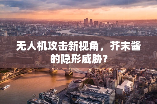 无人机攻击新视角，芥末酱的隐形威胁？