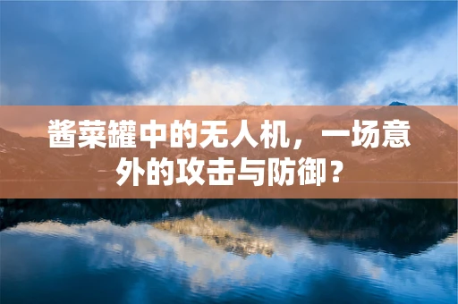 酱菜罐中的无人机，一场意外的攻击与防御？
